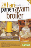 28 Hari Panen Ayam Broiler