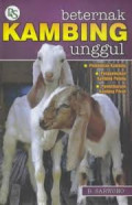 Beternak kambing unggul