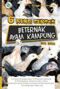 Enam Kunci Sukses Beternak Ayam Kampung