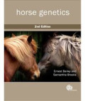 Horse genetics.