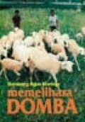 Memelihara Domba