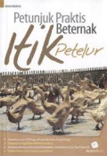 Petunjuk praktis beternak itik petelur.