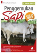 Petunjuk praktis penggemukan sapi.