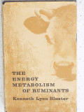 The energy metabolism of ruminants.