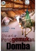 Usaha penggemukan domba.