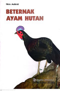 Beternak ayam hutan