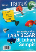 Bisnis ikan hias  laba besar di lahan sempit