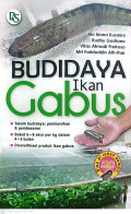 Budidaya ikan gabus