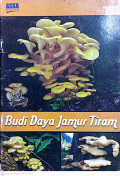 Budidaya jamur tiram