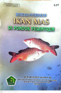 Budidaya peternakan ikan mas di pondok pesantren