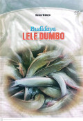 Budidaya lele dumbo