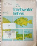 How to know the freshwater fishes