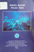 Wisata bahari pulau nias
