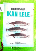 Budidaya ikan lele