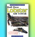 Budidaya lobster air tawar