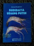 Budidaya udang putih
