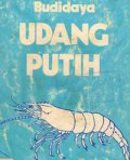 Budidaya udang putih