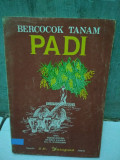 Bercocok Tanam Padi