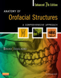 Anatomy of Orofacial Structures: A Comprehensive Approach