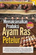 Memaksimalkan Produksi Ayam Ras Petelur