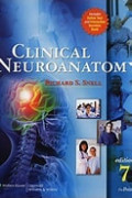 CLINICAL NEUROANATOMY