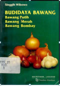 BUDIDAYA BAWANG; BAWANG PUTIH, BAWANG MERAH, BAWANG BOMBAY