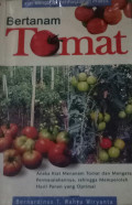Bertanam Tomat