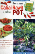 Bertanam cabai rawit dalam pot