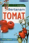 Bertanam tomat