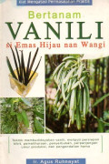 Bertanam vanili si Emas hijau dan wangi