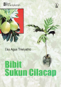 Bibit sukun cilacap