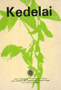 Kedelai