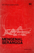 Mengenal serangga