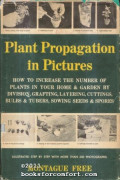 Plant propagation in pictures