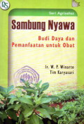 Sambung nyawa budi daya dan pemanfaatan untuk obat