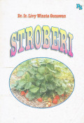 Stroberi