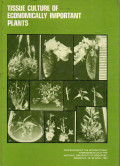 Tissue culture of economically important plants