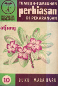Tumbuh-tumbuhan perhiasan di pekarangan