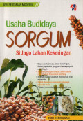 Usaha budidaya sorgum si jago lahan kekeringan