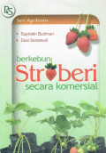 Berkebun stroberi secara komersial