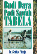 Budidaya padi sawah tabela