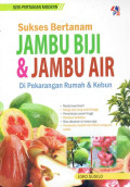 Sukses bertanam jambu biji & jambu air di pekarangan rumah & kebun