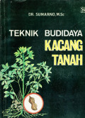 Teknik budidaya kacang tanah